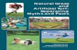 Natural Grass and Artificial Turf: Separating Myths and Facts · artificial turf surface over its projected life expectancy. An entire natural turfgrass field could be replaced every