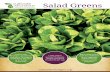 Salad Greens - Michigan Farm to Institution Network · salad greens even through the coldest winter months. Adding seasonal salad greens, especially dark leafy varieties, to your