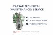 CAESAR ME TECHNICAL SERVICE ME TECHNICAL SERVICE.pdf1. Alpha Lubricator System Maintenance Schedule No. Description 5Y Remark 1 Membrane accumulator with gasket (Big) R Service Kit