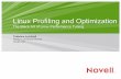 Linux Profiling and Optimization€¦ · Linux Profiling and Optimization The Black Art of Linux Performance Tuning Federico Lucifredi Platform Orchestra Director Novell, INC