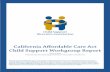 California Affordable Care Act Child Support …...California Affordable Care Act Child Support Workgroup Report July 10, 2013 Presented by the Child Support Directors Association