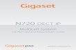 N720 DECT IP - Gigasetgse.gigaset.com/fileadmin/legacy-assets/CustomerCare/...N720 DECT IP Site Planning and Measurement Guide Multicell System Gigaset N720 DECT IP Multicell System