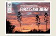 WWF LIVING FORESTS REPORT: CHAPTER 2 REPORT FORESTS …€¦ · This chapter of the Living Forests Report explores the land-use implications of a growing bioenergy sector, looking