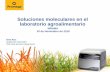 Soluciones moleculares en el laboratorio agroalimentariojornades.uab.cat/workshopmrama/sites/jornades.uab.cat... · 2018-11-26 · Soluciones moleculares en el laboratorio agroalimentario