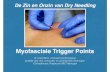 Myofasciale Trigger Points - Schoudernetwerken …Merely inserting a needle into the trigger point Frost et al. The Lancet March 1980 In a double-blind study 28 patients with acute,