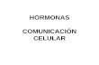HORMONAS COMUNICACIÓN CELULARdepa.fquim.unam.mx/amyd/archivero/3.1.HORMONAS_24848.pdfHormonas: mensajeros químicos • Comunicación autocrina • Comunicación paracrina • Comunicación