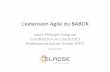 Extensions Agile du BABoK - IIBA R£©gion de Qu£©bec L¢â‚¬â„¢extension Agile du BABOK Louis-Philippe Carignan