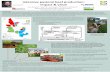 Intensive pastoral beef production: impact & valueresources.rothamsted.ac.uk/sites/default/files/groups/North_Wyke_F… · Intensive pastoral beef production: impact & value Jenna
