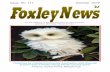 Issue No. 111 Summer 2019 Foxey Views - Mansel Lacymansellacy.org.uk/wp-content/uploads/Foxley-News... · This edition of the Foxley News is the result of a complete rewrite The first