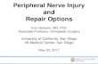 Peripheral Nerve Injury and Repair OptionsPeripheral Nerve Injury and Repair Options Eric Hentzen, MD, PhD Associate Professor, Orthopedic Surgery University of California, San Diego