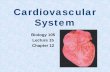 Cardiovascular System - Napa Valley College · Blood Vessels – Arteries and Veins Arteries – always carry blood away from the heart and usually carry O 2-rich blood. Aorta —