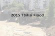 2015 Tbilisi Floodsegecc.com/Resources/Tbilisi Flood1.pdf · 2015-08-28 · River Areal VS Tbilisi River Areal Papulated area of Tbilisi Flowing areal of the river is as large as