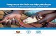Moçambique: Programa da FAO em Moçambique: No âbito do ...4 Programa da FAO em Moçambique Programa da FAO em Moçambique 5 A infra-estrutura física do país, devastada pelo longo