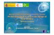 Spanish Cooperation project in Southern Tunisia: PV-RO ... · PDF file Thematic Parc on RES, Desalination and Drip Irrigation at the Faculty of Sciences and Technology of the University