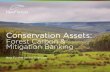 Conservation Assets: Forest Carbon & Mitigation …...• New Forests’ US business focuses on strategies related to conservation forestry, mitigation banking, and forest carbon.