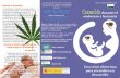 ¿Qué es el cannabis? Cannabis sativa, 968 36 90 31 Cannabis · El cannabis es una droga que se extrae de la planta . Cannabis sativa, con cuya resina, hojas, tallos y flores se