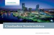 Desarrollo sostenible para infraestructuras urbanas … Sostenibles...8 Ciudades sostenibles Ciudades sostenibles 9Nuestra investigación – su éxito serie de palancas tecnológicas