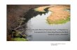The Massachusetts Rivers Protection Act A …neiwpcc.org/wetlandsold/wetlands_pdf/22. Making the Case...The Massachusetts Rivers Protection Act –A RegulatoryFramework for Protecting