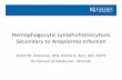 Hemophagocytic Lymphohistiocytosis Secondary to …...Hemophagocytic Lymphohistiocytosis Secondary to Anaplasma Infection NabilM. Mansour, MD; MahaA. Assi, MD, MPH KU School of Medicine