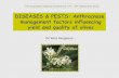 DISEASES & PESTS: Anthracnose management …olivediseases.com/olivera/wp-content/uploads/2015/02/...Dr Vera Sergeeva olivediseases.com DISEASES & PESTS: Anthracnose management factors