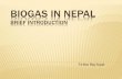 Biogas in Nepal Brief Introduction - SAARC Energy...Khadi Village Industry Commission (KVIC) of India constructed 250 cft biogas system at an exhibition in Kathmandu. • In 1975/76