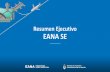 Resumen Ejecutivo EANA SE - Aviacionline.com...Pilares claves de nuestra actividad Resumen Ejecutivo EANA SE 8/5/2019 ... Córdoba, Bariloche y El Palomar ... Implementación progresiva