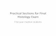 Practical Sections for Final Histology Exam · 2018-08-11 · Histology Exam First-year medical students. Epithelium . Endothelium Simple squamous epithelium . Mesothelium Simple
