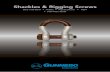 Shackles & Rigging Screws - Gunnebo Industries · 2019-10-22 · Rigging Screws Rigging Screws, Alloy Steel 4:14 Rigging Screws, Hot Dip Galvanized 4:14 Technical Information, Shackles