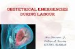 Obstetrical Emergencies during labouraiimsrishikesh.edu.in/newwebsite/wp-content/... · Specific objectives: •At the end of class, the student will be able to: Describe obstetrical