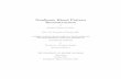 Nonlinear Blood Pattern Reconstructionresearch.cs.queensu.ca/home/cecchett/PDFS/2010-Nonlinear Blood … · Nonlinear Blood Pattern Reconstruction by Benjamin Thomas Cecchetto B.Sc.,