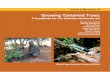 Growing Tamar ind Trees: A Handbook for the Sahelian ... · The tamarind tree can be propagated by seed (seeds) or asexually (cuttings, layering and grafting). However, grafting is