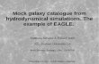 Mock galaxy catalogue from hydrodynamical simulations. The ... · Mock galaxy catalogue from ... Schaye+2015 (1407.7040), Crain+2015 (1501.01311), Schaller+2015 (1509.05056) EAGLE