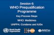 Session 6: WHO Prequalification Programme · training workshop on prequalification and the WHO technical briefing seminar on prequalification . ... Team of experts (pharmaceutical