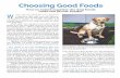 Choosing Good Foods - Whole Dog Journalabout the quest for the world’s best dog food: • Dry food is not the healthiest diet for your dog. If you want to provide the very best,