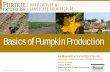 Basics of Pumpkin Production - Purdue University …...Department of Horticulture and Landscape Architecture Purdue University January 8, 2019 Illiana Vegetable Growers Symposium Schererville,