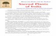 TATTVÃLOKA februAry 2015 Sacred Plants of India Plants of India.pdf · The Vamana Purana identifies some plants with specific gods and goddesses. The Matsya Purana and the Padma