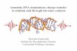 Atomistic DNA simulations: charge transfer in solution and ...dnatec09/presentations/... · Atomistic DNA simulations: charge transfer in solution and through bio-nano contacts Thorsten