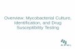 Overview: Mycobacterial Culture, Identification, and Drug ... · Inoculate Media Species Identification Drug Susceptibility Amplification- based Tests. Process Specimen AFB Microscopy