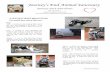 Journey’s End Animal Sanctuaryjourneysendsanctuary.org/docs/newsletter_2018_01.pdf · Journey’s End PO Box 220163 Glenwood FL 32722-0163 - 6 - Journey’s End is a non-profit