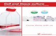 Cell and tissue culture - Hounisen€¦ · 2 Table of contents 3 Sarstedt quality seal for cell and tissue culture pp. 4 - 5 TC-Tested s Cryo Performance Tested p. 4 Growth surfaces
