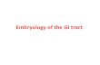 Embryology of the GI tract - JU Medicine · anal canal Observe the following points: 1. The inferior mesenteric artery is the blood supply to the hindgut 2. The endoderm of the hindgut