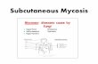 Subcutaneous Mycosis - جامعة الملك سعودfac.ksu.edu.sa/sites/default/files/7-_subcutaneous_mycosis.pdfSubcutaneous mycosis. 4. Systemic mycosis. 5. Opportunistic mycosis.