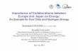 Importance of Collaborations between Europe and Japan on … · Importance of Collaborations between Europe and Japan on Energy: An Example for Fuel Cells and Hydrogen Energy Kazunari