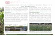Soil Health Manual Series Fact Sheet umber 16-10 Soil ... · Soil Health Manual Series Fact Sheet umber 16-10 Soil Respiration Respiration is a measure of the metabolic activity of
