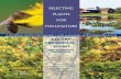 Selecting Plants for Pollinators...In theIr 1996 book, the Forgotten PollInators, Buchmann and Nabhan estimated that animal pollinators are needed for the reproduction of 90% of flowering