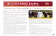 The Oakhill Drive - Oakhill College · The Oakhill Drive Strategic Plan (2014-2016) launched ... Zealand, Pakistan and Papua New Guinea District) from 2005 to 2012. ... now a dedicated