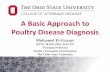 A Basic Approach to Poultry Disease Diagnosisoeffa.org/documents/BasicApproachtoPoultryDisease...A Basic Approach to Poultry Disease Diagnosis Mohamed El-Gazzar DVM, MAM, PhD, DACPV