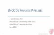 ENCODE ANALYSIS PIPELINES - Genome.gov · Workshop Goals J. Seth Strattan, PhD ENCODE DCC 3 • Introduce the ENCODE Analysis Pipelines. • Run the transcription factor ChIP-seq