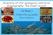 Diversity of life; geological control on biogeography; the fossil … Geology pdf/4-The... · 2004-10-03 · Number of species of living organisms Animalia ~1 326 000 > 10 000 000