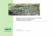Nason Creek (Chelan County) Oxbow Reconnection Monitoring ... · Nason Creek (Chelan County) Oxbow Reconnection . Monitoring, 2010 . June 2011 . Publication No. 11-03-032
